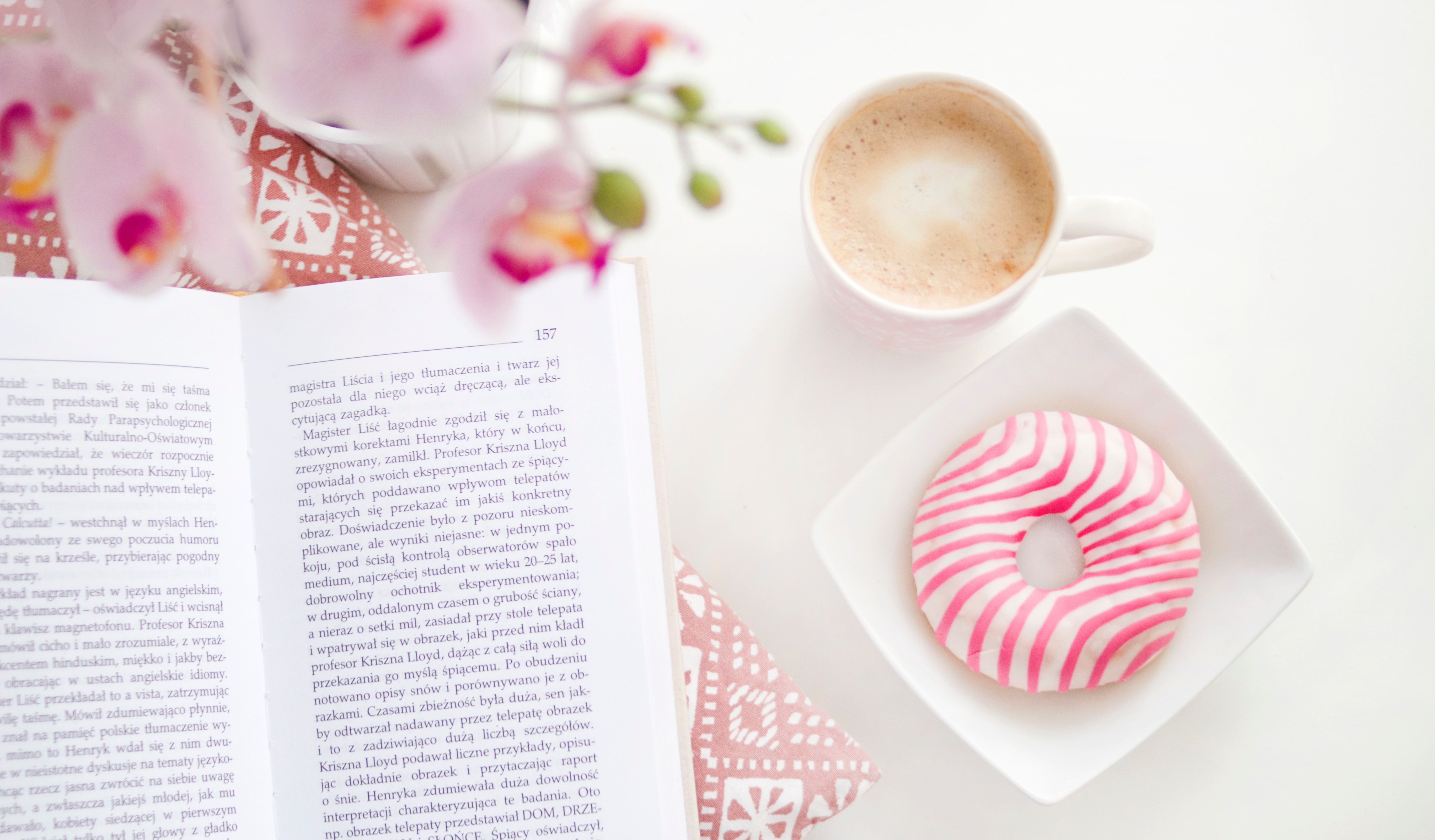 Book Report – January 2019