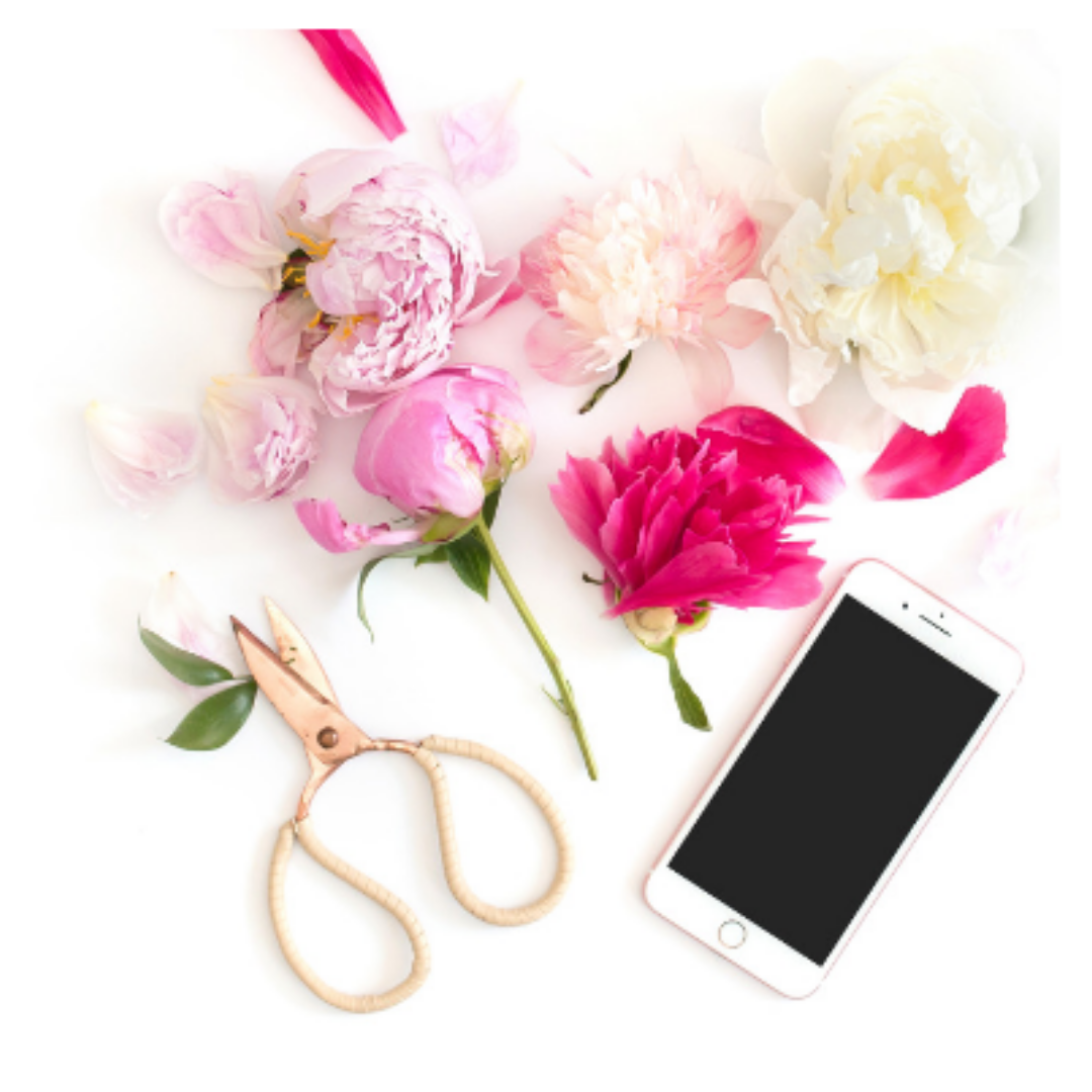 Intentions – April 2019