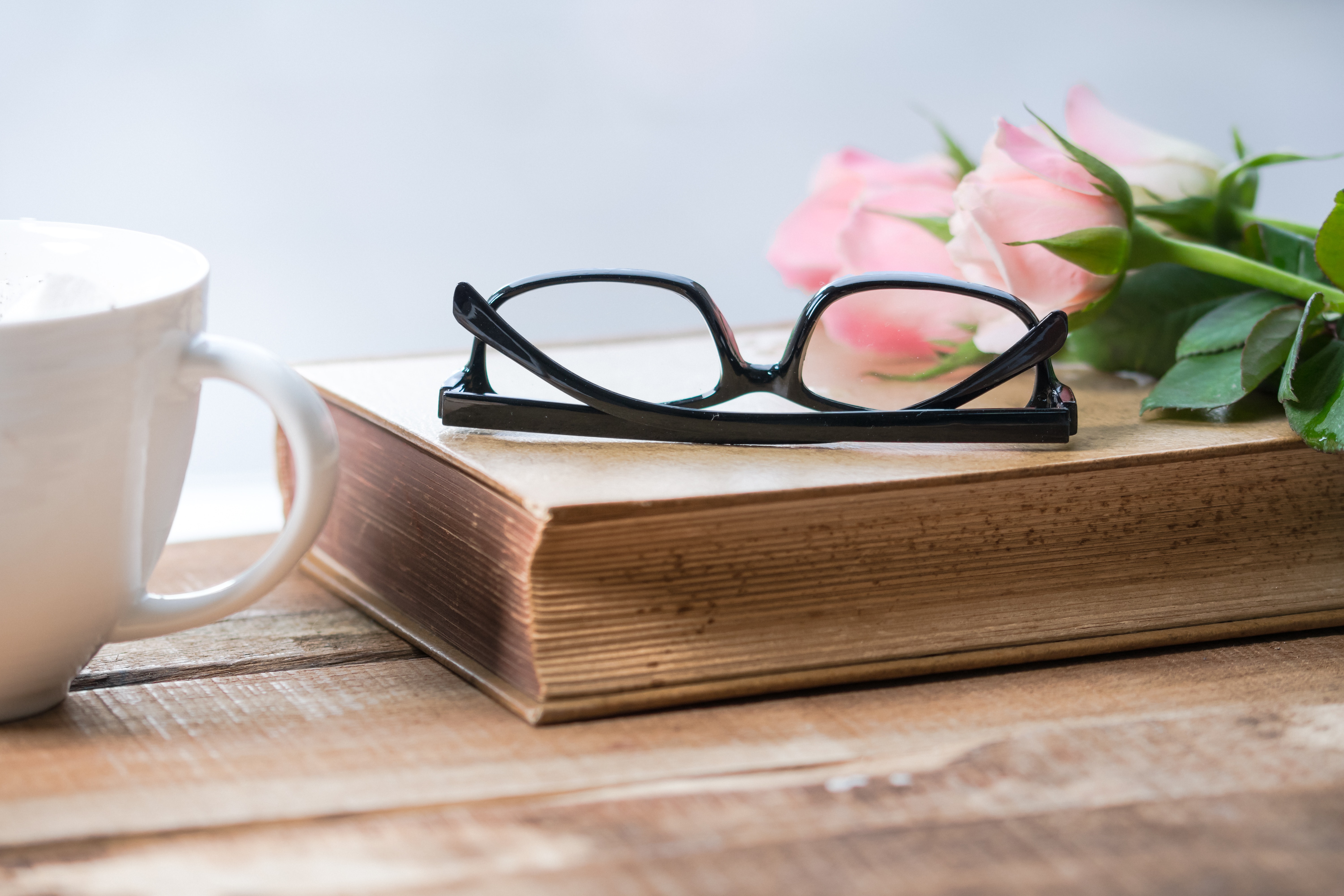 Book Review – Hadley Beckett’s Next Dish