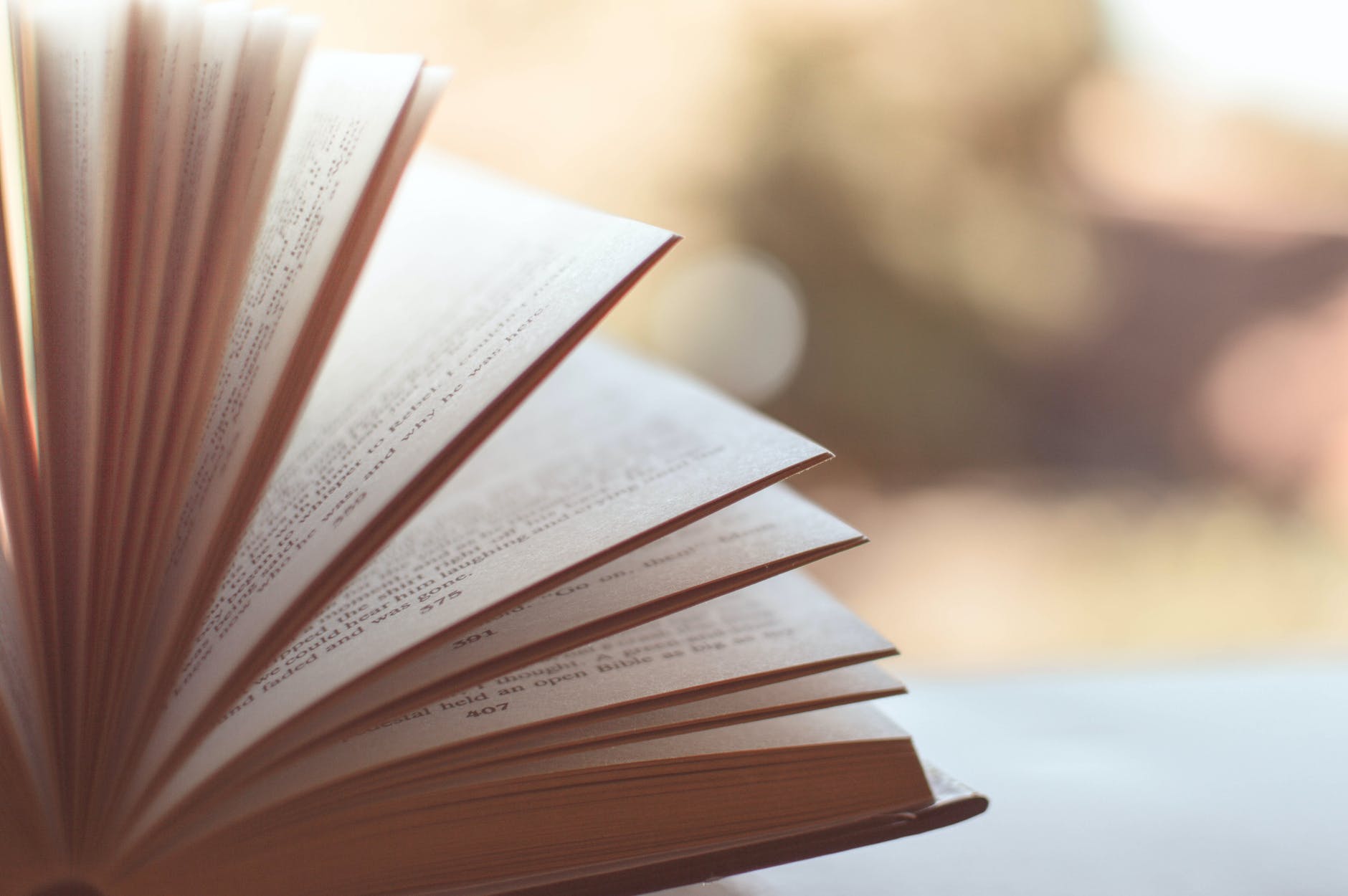 Book Review – Tacos for Two